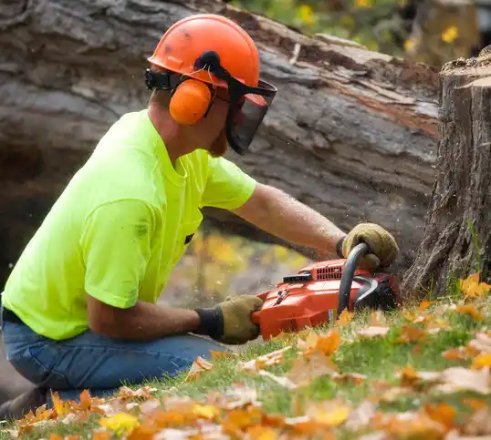 tree services Lake Mohawk